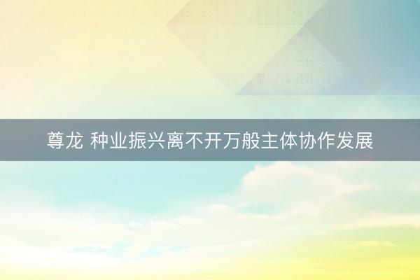 尊龙 种业振兴离不开万般主体协作发展
