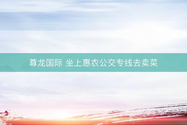 尊龙国际 坐上惠农公交专线去卖菜