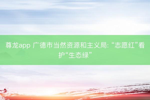 尊龙app 广德市当然资源和主义局: “志愿红”看护“生态绿”