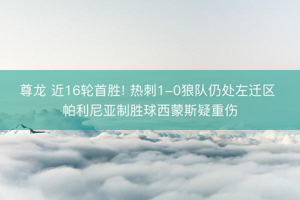 尊龙 近16轮首胜! 热刺1-0狼队仍处左迁区 帕利尼亚制胜球西蒙斯疑重伤