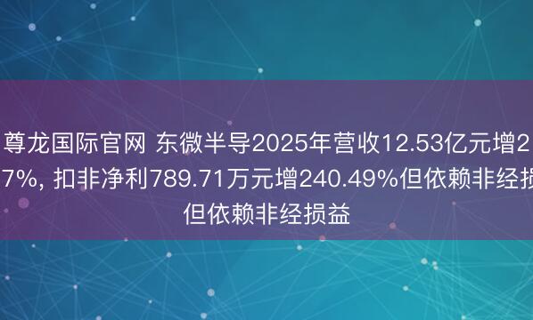 尊龙国际官网 东微半导2025年营收12.53亿元增24.87%, 扣非净利789.71万元增240.49%但依赖非经损益