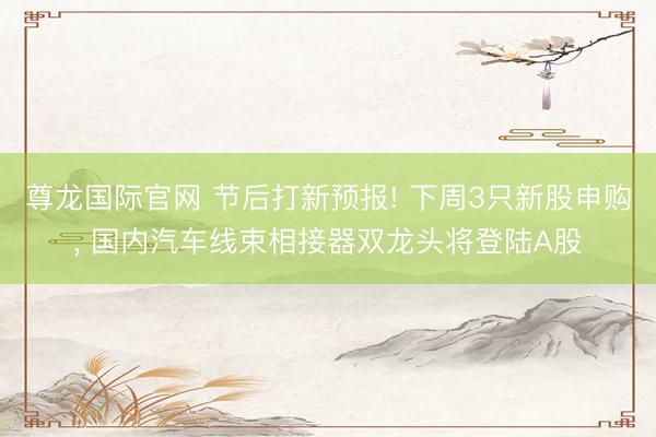 尊龙国际官网 节后打新预报! 下周3只新股申购, 国内汽车线束相接器双龙头将登陆A股